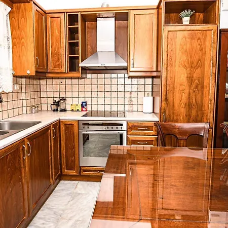 Achilleas Deluxe αpartment -pet Friendly-parking-mountain View Holiday home Kotsiana