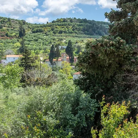 Achilleas Deluxe αpartment -pet Friendly-parking-mountain View Kotsiana