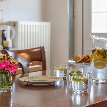 Achilleas Deluxe αpartment -pet Friendly-parking-mountain View Holiday home Kotsiana